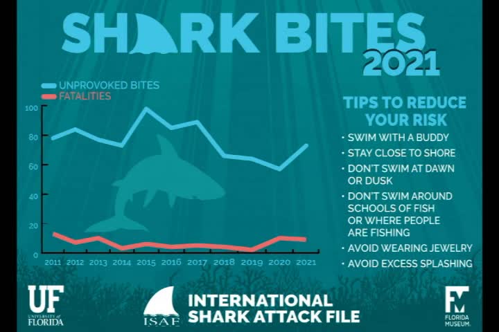 Thumbnail image for Shocker Presents "Sharks"
